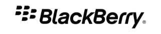 BlackBerry Spark(ブラックベリースパーク)